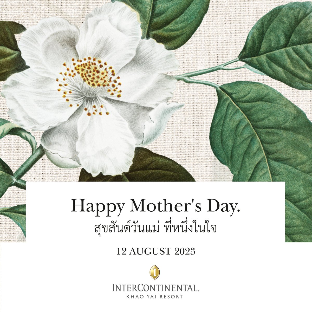 ICKhaoyai's tweet photo. Today, we celebrate the strength, love, and dedication of mothers in Thailand, recognizing the profound impact they have on our lives. Happy Mother’s Day. #วันแม่แห่งชาติ #InterContinentalLife #InterContinentalKhaoYai https://t.co/YGL9X1FzCy