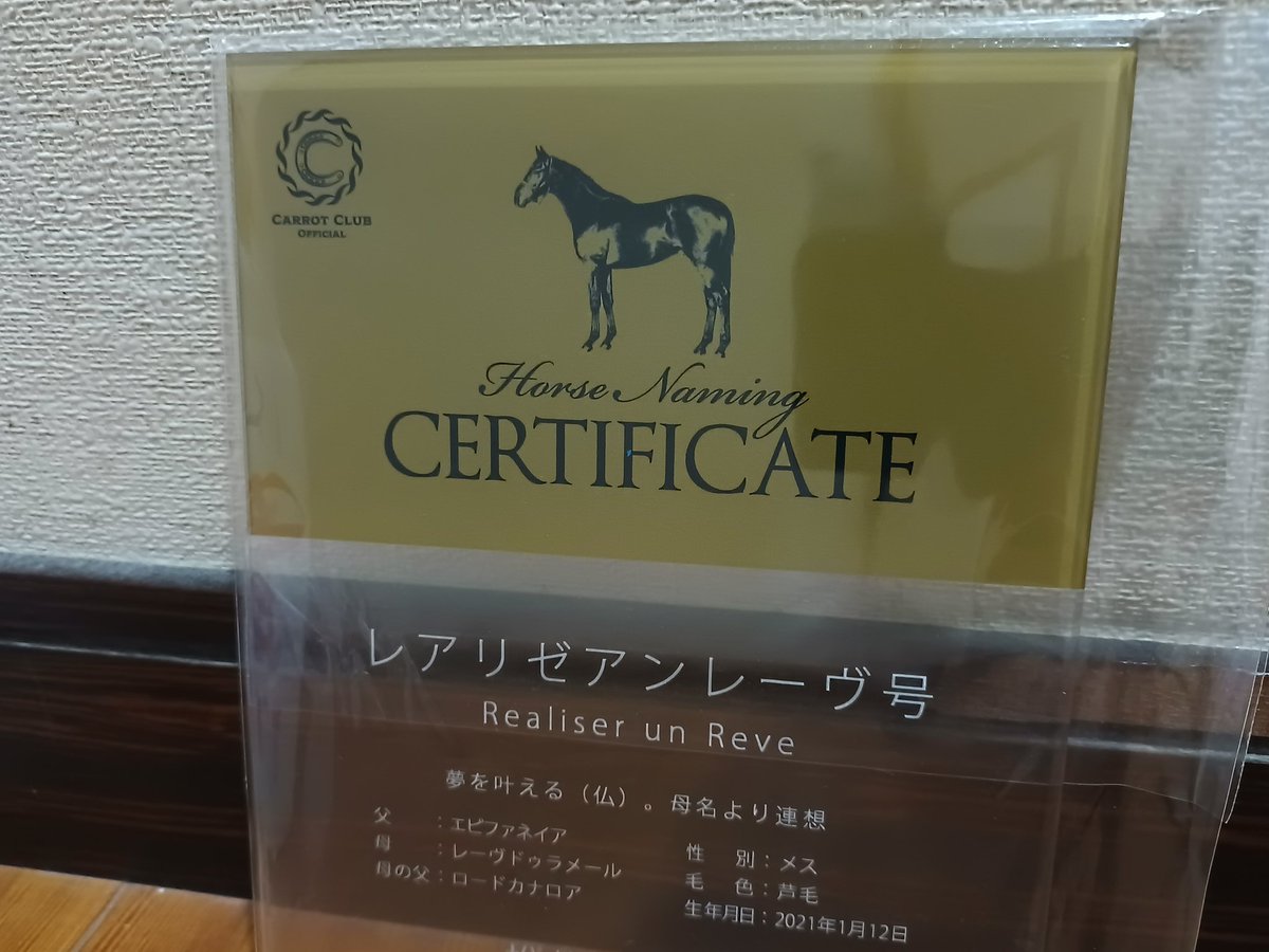 今年度産のキャロットで最優先出資したレアリゼアンレーヴ（命名１号）がデビュー戦快勝！！関係者のみなさまありがとうございました😭

体が小さい芦毛で、たくさんの方に応援してもらえますように、そしてこのまま無事に、夢を実現してくれますように…

…馬名読みにくくてすみません(笑)