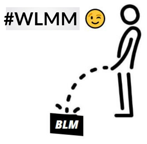 DegraafJerry's tweet photo. @LozzaFox Head of the diversity bollox at the FA is a darkie.
I reckon that warnings have been given to these woke diseased players that not to honour the black leftie militia is a career limiting exercise?
#WLMM https://t.co/36XsHkhtlZ