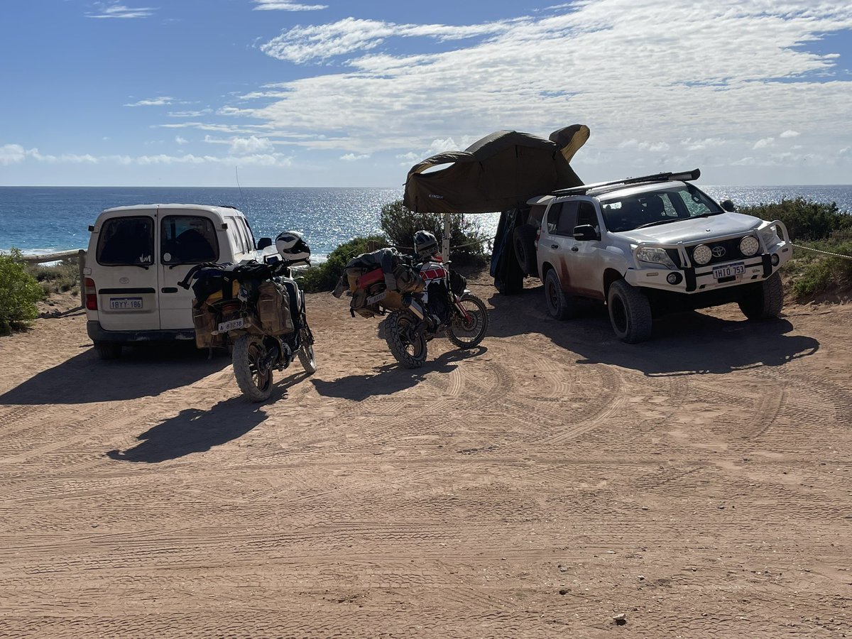 Doctor_650's tweet image. 2 mango 🥭 smoothies PLEASE 
#redbluff