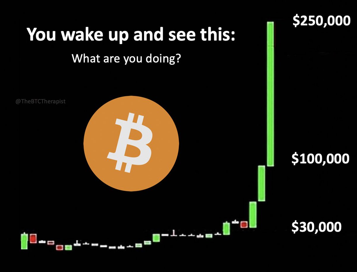 The ₿itcoin Therapist tweet media