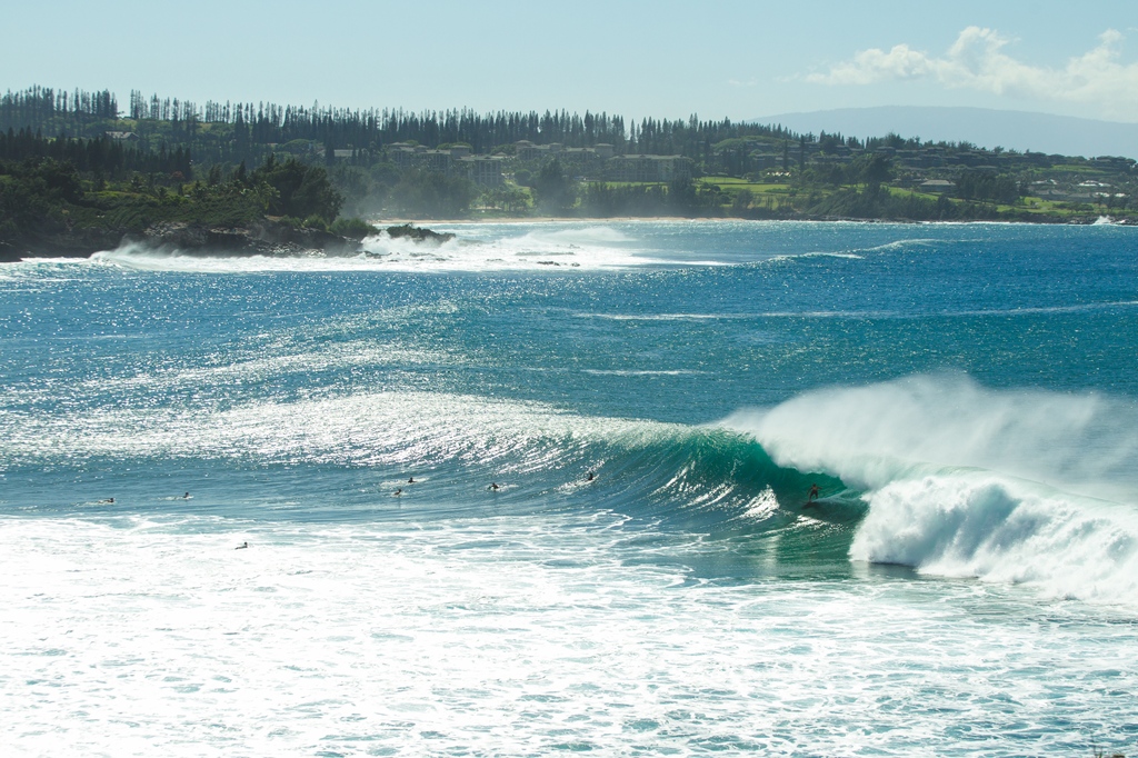 SurfersJournal's tweet photo. Maui has given surfers so much over the decades. Please consider giving back however you can as Lahaina begins its recovery from the recent wildfires. To the families of those we've lost and the ones who are still missing, our hearts are with you. Donate:

https://t.co/wym1ybGj3n https://t.co/uMLfTcUqcb