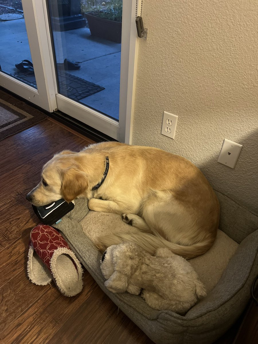 kellylsellers's tweet photo. @JamesMSellers Lucy misses you! ♥️ https://t.co/Z1W47GmPgV