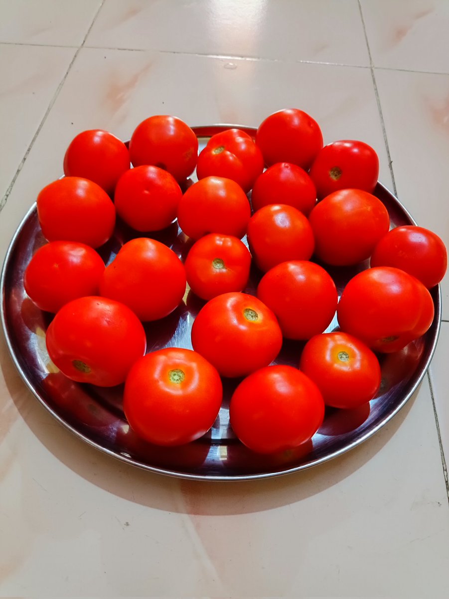 itsmeShahul's tweet photo. Finally I got 🍅🍅🍅 at 60/- 🤔😅😉Tag🔖your area #tomato price today. 😬 https://t.co/IbINCqvrIU