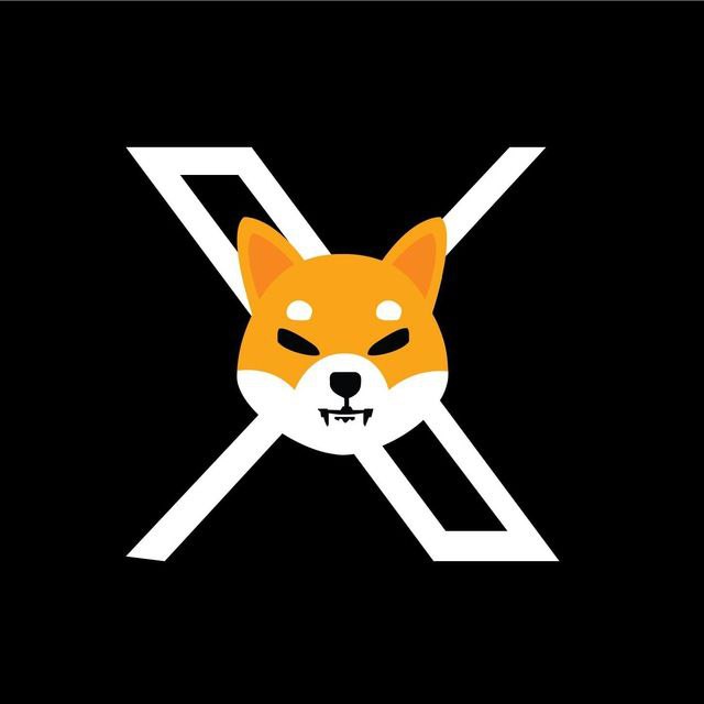 🐕Xibarium🐕 Bsc project based on Shibarium and X hype, recently launched, ready to moon. 📱 t.me/Xibarium 📊 poocoin.app/tokens/0xb485c… #BSCLaunch #FairLaunch #Xibarium #Shibarium #BSCGems#BSCGems #BSCGems