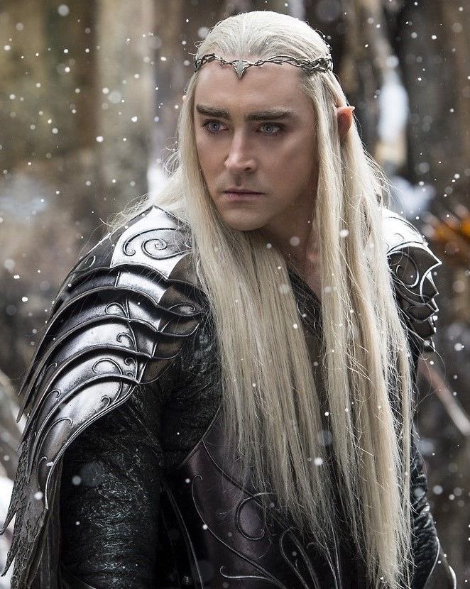evenstvr's tweet photo. the sluttiest thing a man can do is wear a circlet to battle https://t.co/LKeBndOkcO