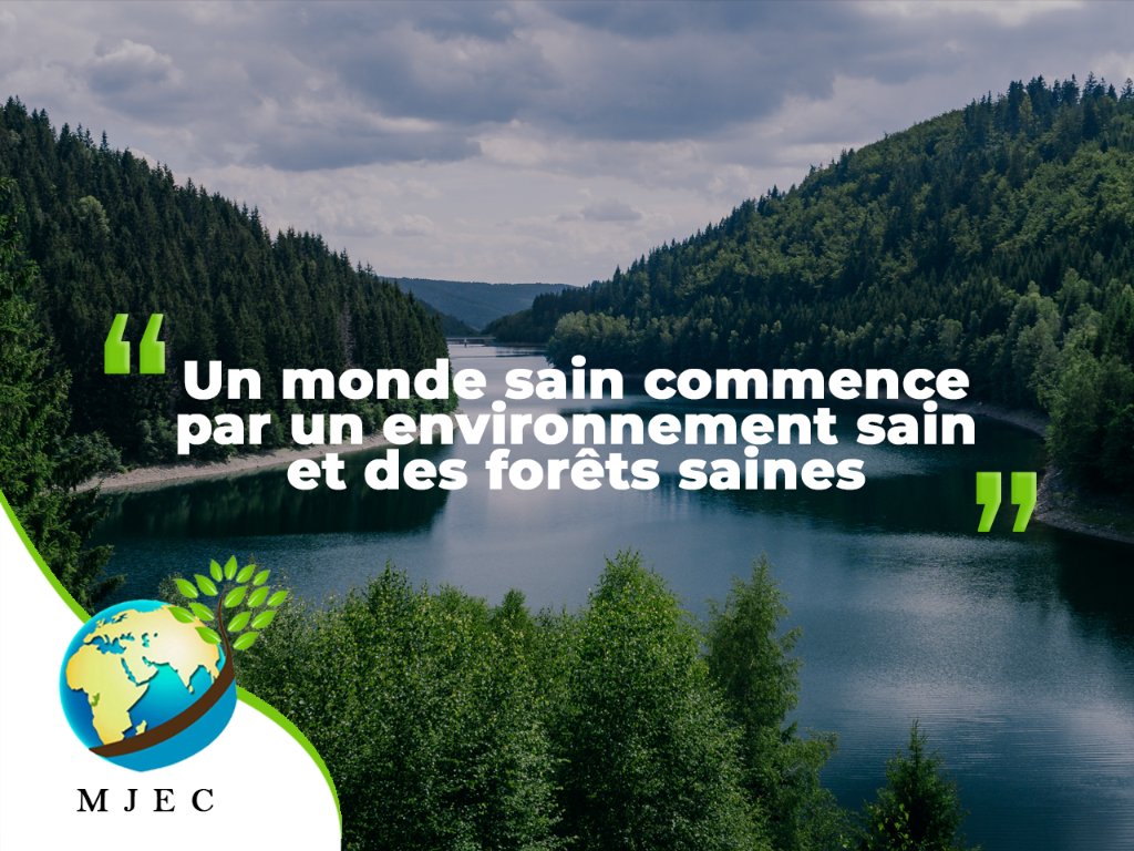 Mjec_242's tweet photo. #MJEC #unicefcongobrazza #environnement https://t.co/79tf5teyQ2
