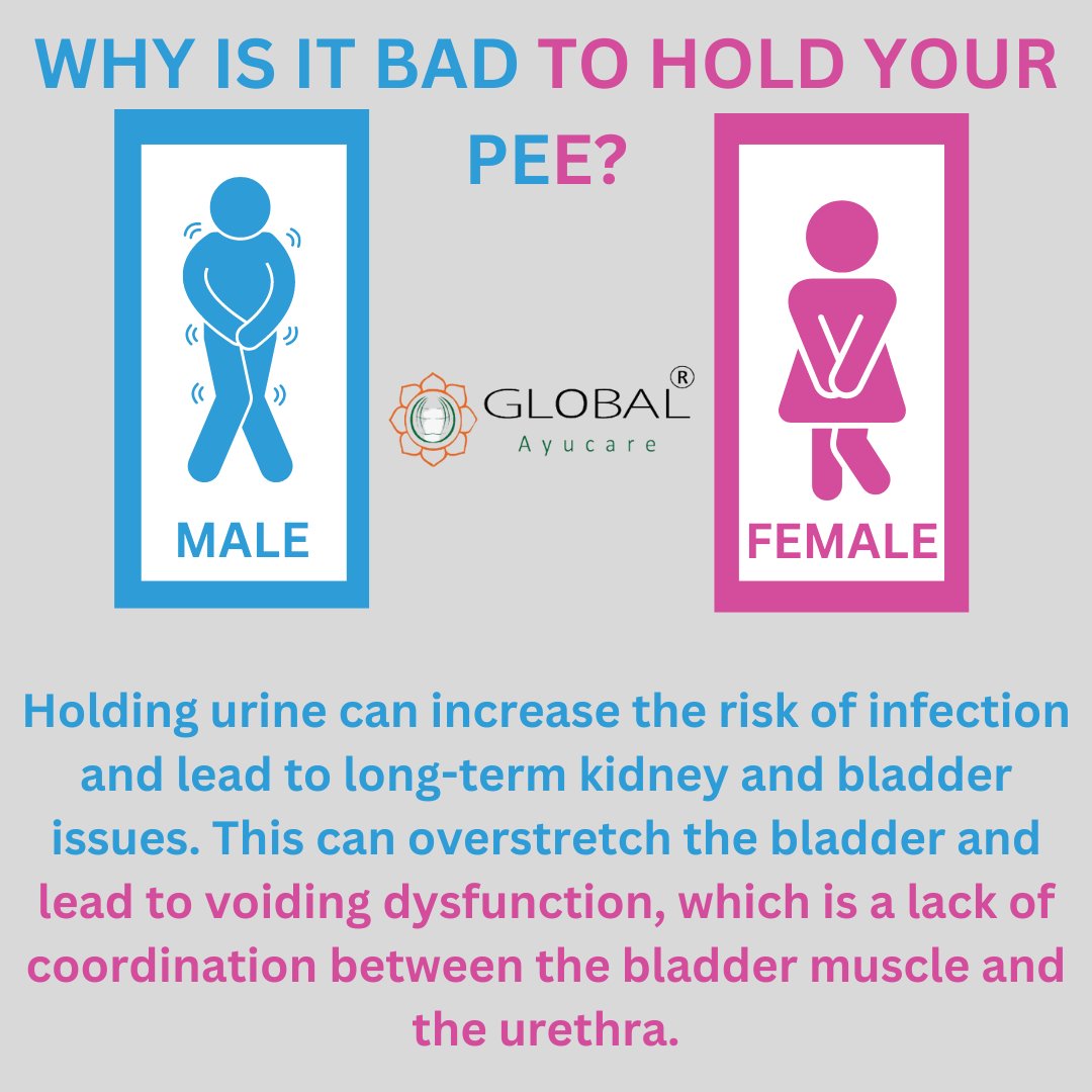 GAyucare's tweet photo. Why is it Bad to Hold your Pee?
For More Info:
https://t.co/g5g1UrtIOW
+91 95823 67519
#healthybladder #listentoyourbody #takeabreak #bladderhealthmatters #pee #peeing #piss #toilet #toiletselfie #urine #bathroom #wesharehealthnhappiness #globalayucareherbal❤ #priceinpounds https://t.co/0NJceAvoO2