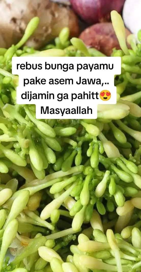 Wajib kamu simpan ini. Terutama untuk kaum wanita. Ada 50 tips keren tentang dapur. Part 1