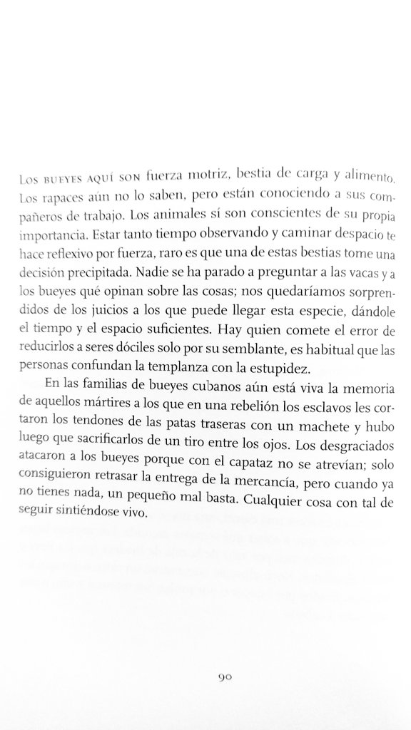 NOCTOURNO's tweet photo. ¡Qué manera de contar mientras nombra! 🖤
Bibiana Candia. #Azucre.
@pepitaseditora https://t.co/QkRwn8XkbN