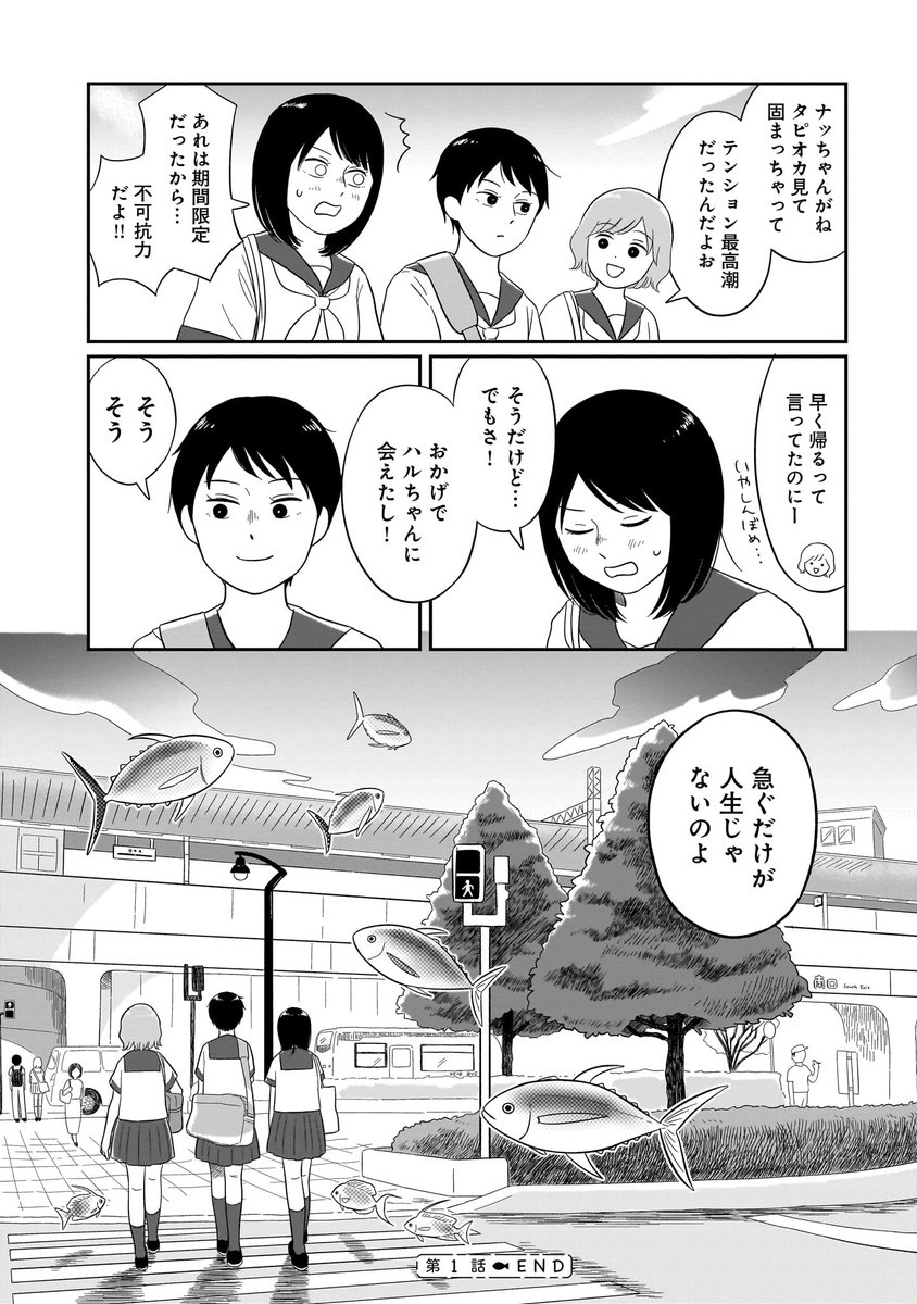 (4/4)