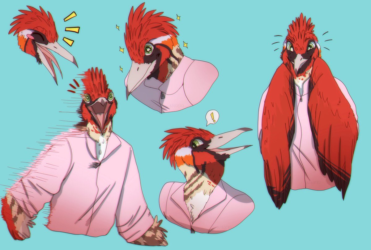 Good Bird Boy (The one who bwahs) tweet media