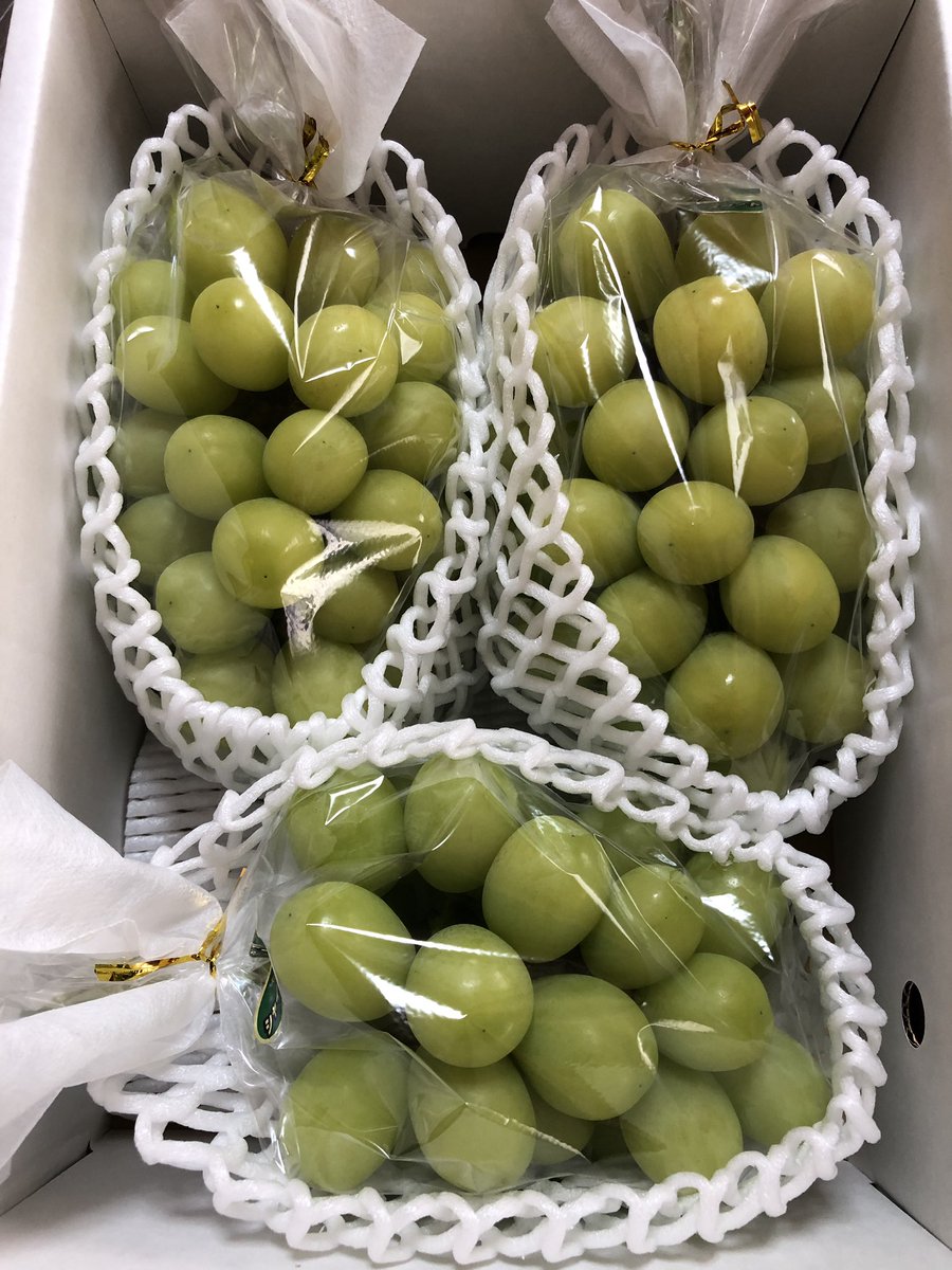 budouyan's tweet photo. シャインマスカット🍇
プレゼント企画を開催します🎁💝

応募方法

こちらのアカウントをフォロー＆
このツイートをリツイート

8月15日24時〆切

家庭用シャインマ���カット
3〜4房入り1.7キロ前後を
抽選で1名様にプレゼント🎁✨

当選者様には
シャインマスカットを
送料も含めて無料でプレゼント致します

発送時期は９月20日頃を予定しています。

またシャインマスカットを
後日販売いたしますが

ぶどうやんLINE公式アカウントに
ご登録の方優先に販売をお知らせします

興味のある方は
以下のリンクから
友だち追加お願いいたします

https://t.co/LYdpKweP2i