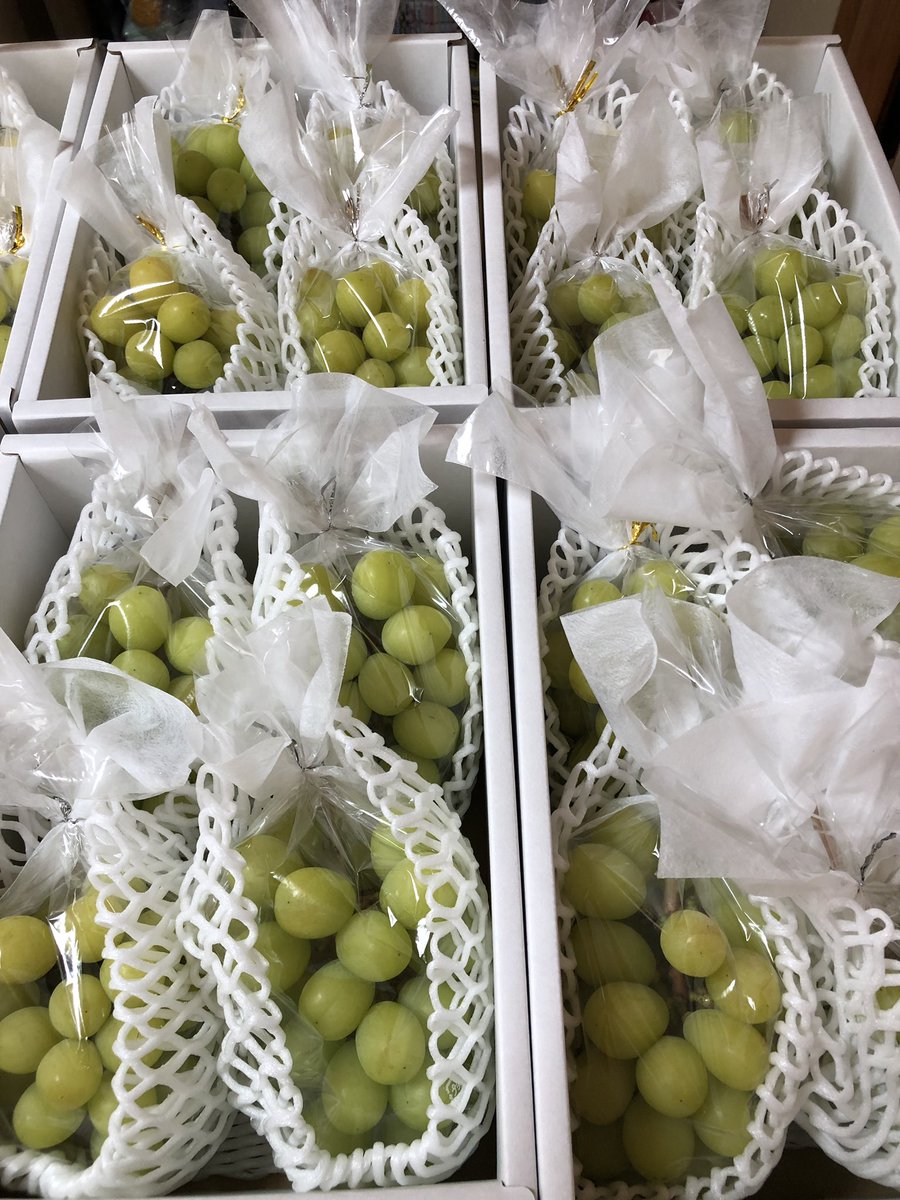 budouyan's tweet photo. シャインマスカット🍇
プレゼント企画を開催します🎁💝

応募方法

こちらのアカウントをフォロー＆
このツイートをリツイート

8月15日24時〆切

家庭用シャインマ���カット
3〜4房入り1.7キロ前後を
抽選で1名様にプレゼント🎁✨

当選者様には
シャインマスカットを
送料も含めて無料でプレゼント致します

発送時期は９月20日頃を予定しています。

またシャインマスカットを
後日販売いたしますが

ぶどうやんLINE公式アカウントに
ご登録の方優先に販売をお知らせします

興味のある方は
以下のリンクから
友だち追加お願いいたします

https://t.co/LYdpKweP2i