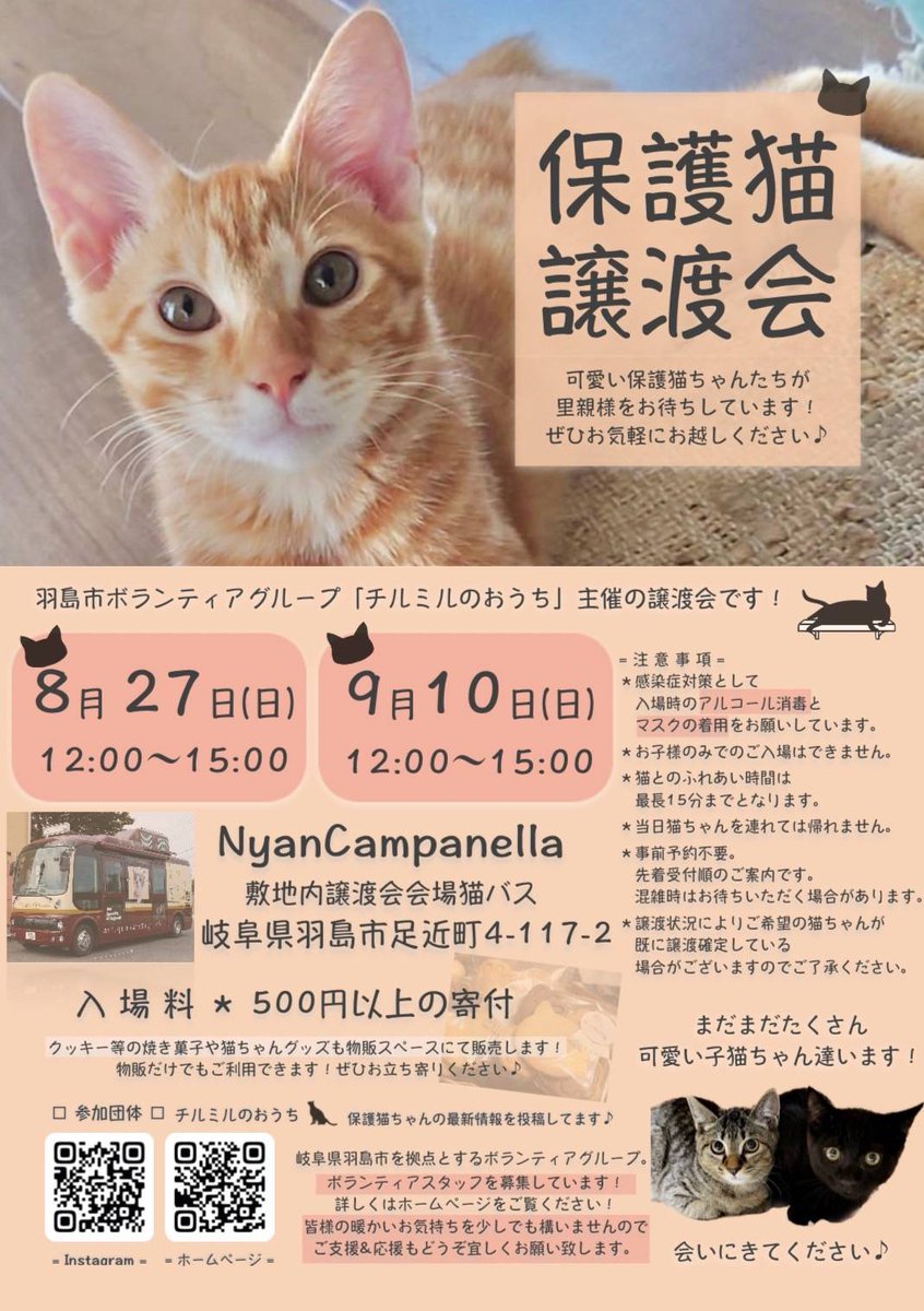 chirumiru_neko's tweet photo. 譲渡会のお知らせです。８月27日ニャンカンパネラにて開催します。皆様いつも、御支援、ご協力有り難うございます。また、Twitterでツイートやリツイートして頂き有り難うございます。８月27日是非遊びにいらして下さいね。 https://t.co/9VSEKd3RQw