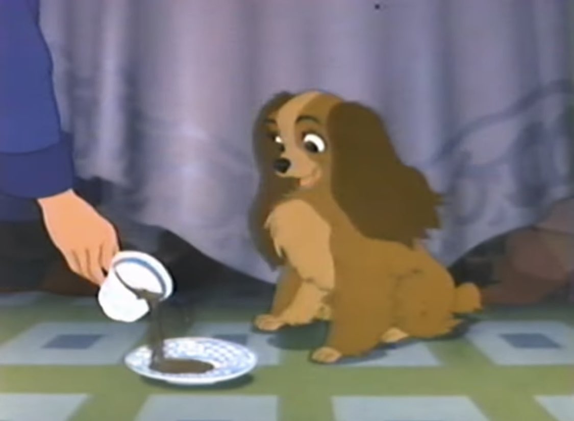 caitiedelaney's tweet image. thinking about the fact that Lady took a large americano and a donut straight to the dome every morning… girl must have been digging holes in the yard for an entire 9 hour shift after this