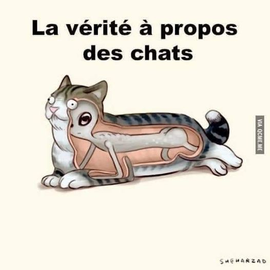 MAUVE_REBEL2's tweet photo. -Hypothèse de l'expert Steeve 🤓
-Je dis BRAVO  #Raclures

@TeeJay25110470
@Rimk7503
@scpc142
@Opo_40
@wilus72
@SteeveFan46
@yelram45
@CentauriPr0xima
@ericdechaniers

#TeamExperts #OuiMaisNousOnSachoir https://t.co/qLZnWQfwEB