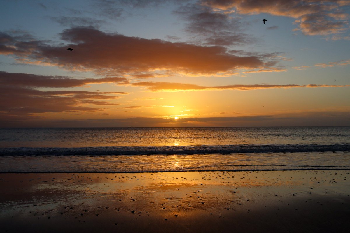 Jenna McGregor Jackson📷🌅💙 tweet media