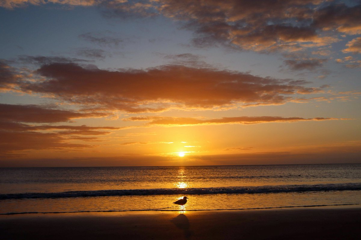 Jenna McGregor Jackson📷🌅💙 tweet media