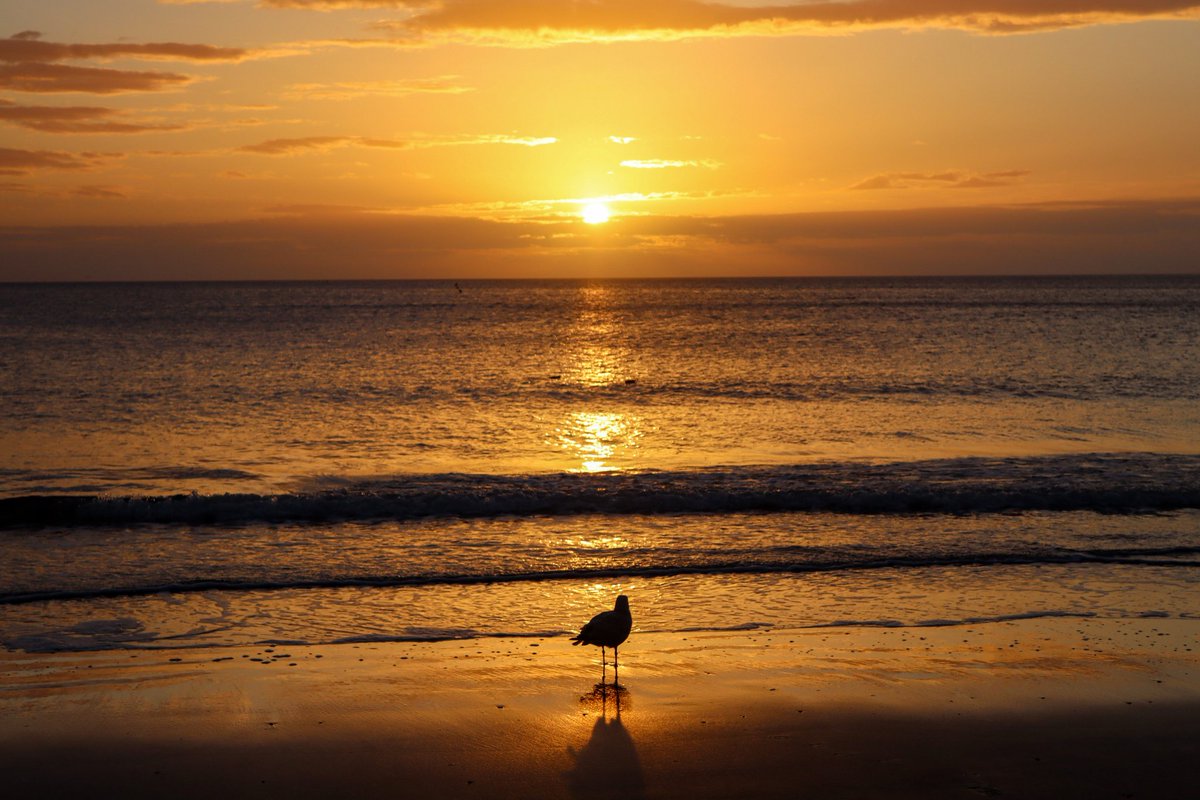Jenna McGregor Jackson📷🌅💙 tweet media