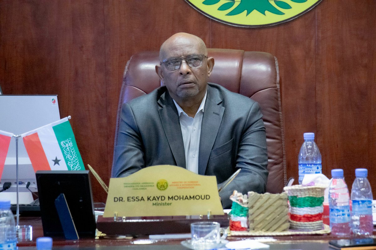 Somaliland Government Web Portal tweet media