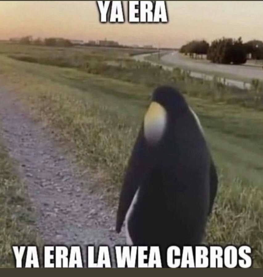 ChrisFuPi's tweet photo. La Nicky Nicole se pierde en la casa, no canta y los saca de la fiesta pidiendo un tour con merengue.
La produccion:
#GranHermanoCHV https://t.co/ApwPMgcaDu
