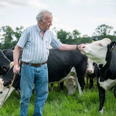 f_philippot's tweet photo. Nouvel article dans le Financial Times ce jour : l’Irlande va massacrer 200 000 vaches pour « tenir ses engagements climatiques » !
Les fermiers, rejoints par nombre d’Irlandais, ont lancé de vastes manifs face à cette dinguerie !
Espérons le même succès qu’aux Pays-Bas ! https://t.co/BDrumezLrO