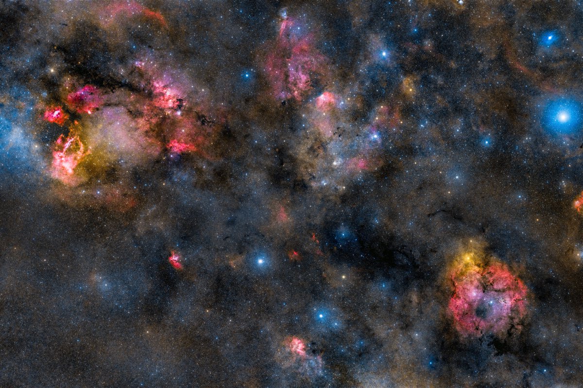 ronanhunt.eth tweet media