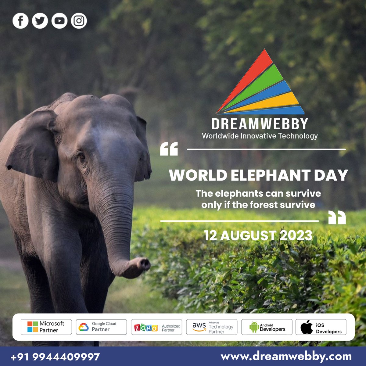 WORLD ELEPHANT DAY -2023
Visit:- dreamwebby.com
.
.
.
.
#elephantday #worldelephantday #worldelephantday2023 #saveelephants
#coimbatore #android #ios #development #developmentcompany #AmazonPartner #googlepartner #zohopartner #Microsoft365 #domain #webhosting