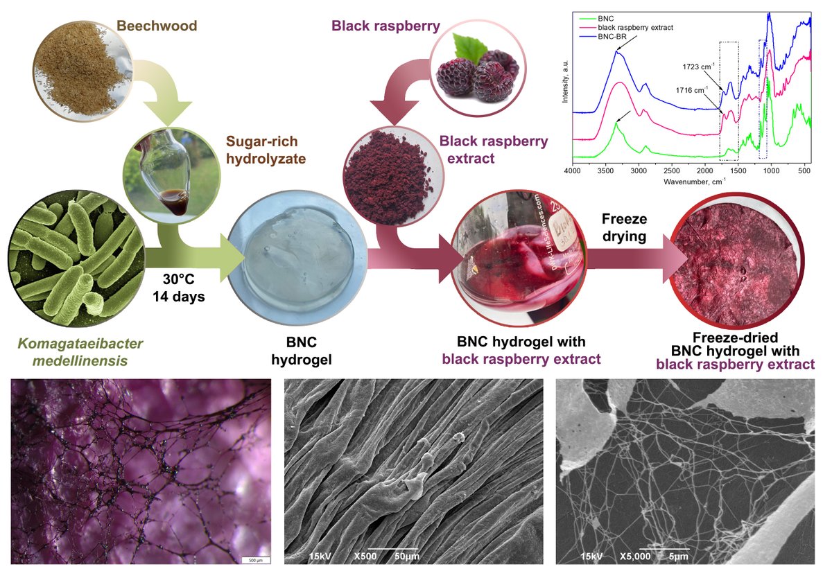 bioeco_2022's tweet photo. Something new from the BioECOLogics kitchen is now available online 📢📢📢.
We are proudly presenting our new publication.
https://t.co/Brz60pLKqE
#BioECOLogics #fondzanauku #programIDEJE #IDEJE #biotechnology #biochemistry #chemistry #greenchemistry #ecology #greenscience https://t.co/qGgYfeXJQ9