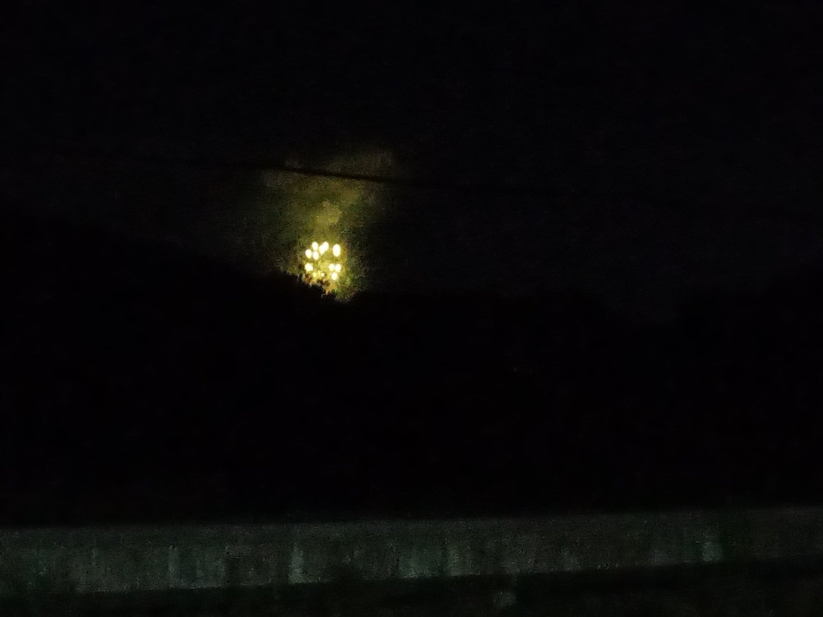 サザエさんじゃんけん✊✌️✋の分析協議会 tweet media