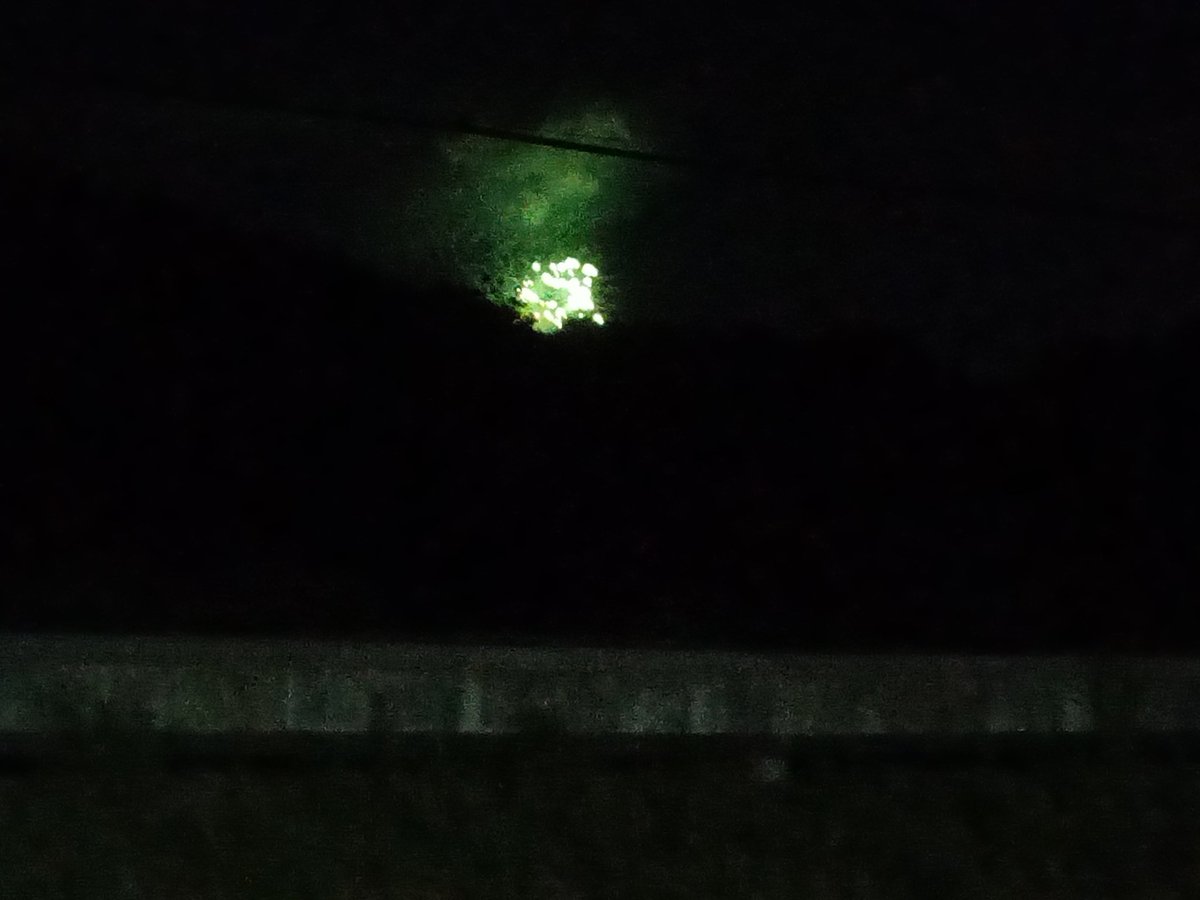 サザエさんじゃんけん✊✌️✋の分析協議会 tweet media