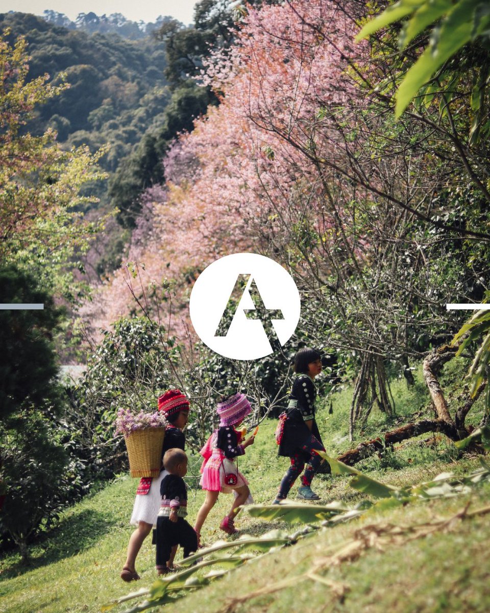 Acts 29 Asia Pacific tweet media