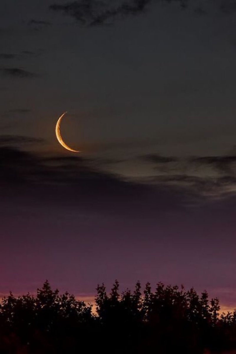Crescent Moon lover.