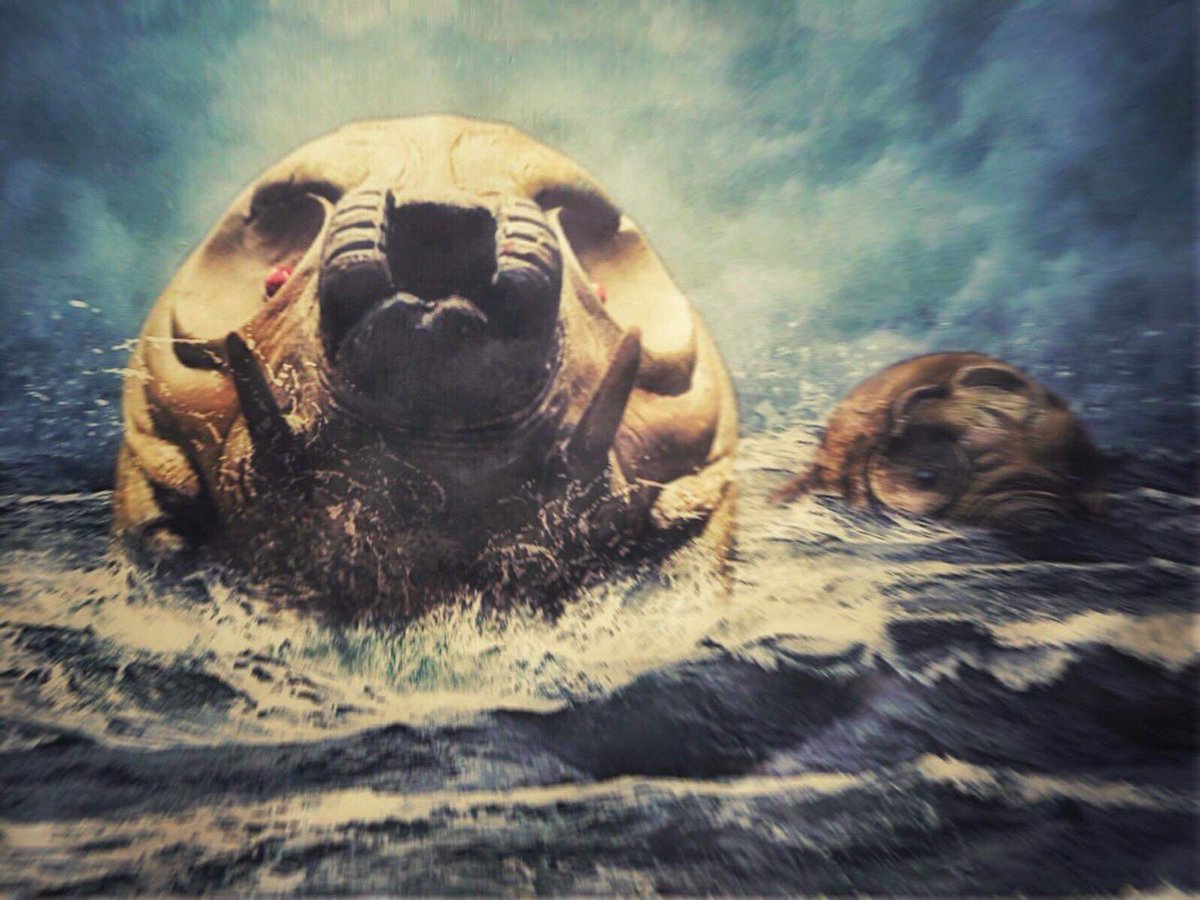 ビッグサイズ すいかクラブ レインボーモスラ ガレージキット