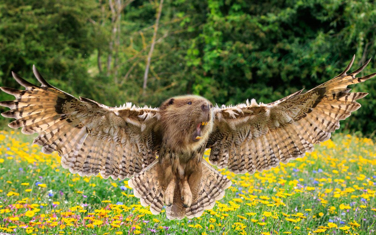 Registre Mondiale de la Faune et de la Flore tweet media