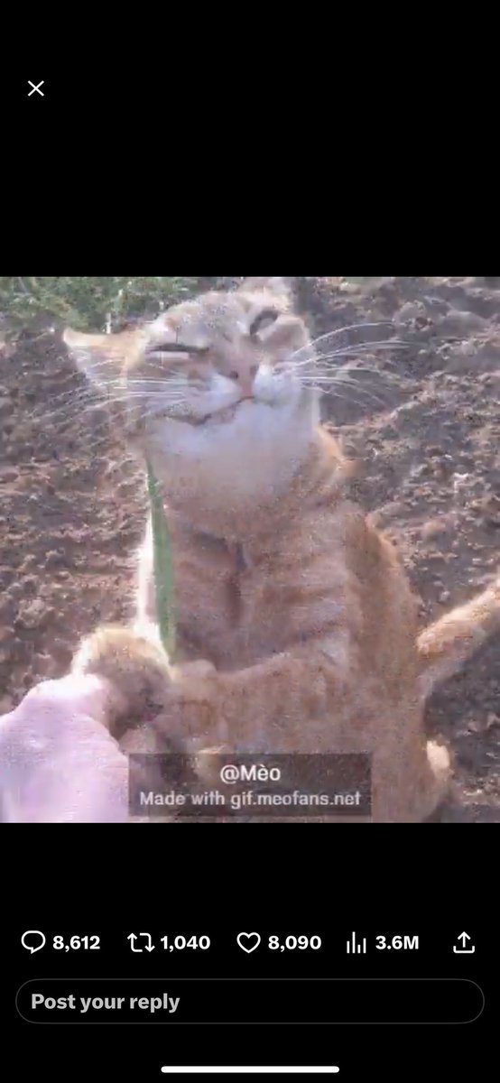 AT installations tweet media