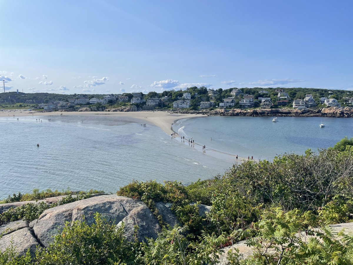 RamyaRavi91's tweet photo. Beach day @dandrealab !!
What a fun evening it was. #bostonsummer #beachday #dandrealab #labmates #danafarber #harvard #Massachusetts https://t.co/YsFP3Scvmj