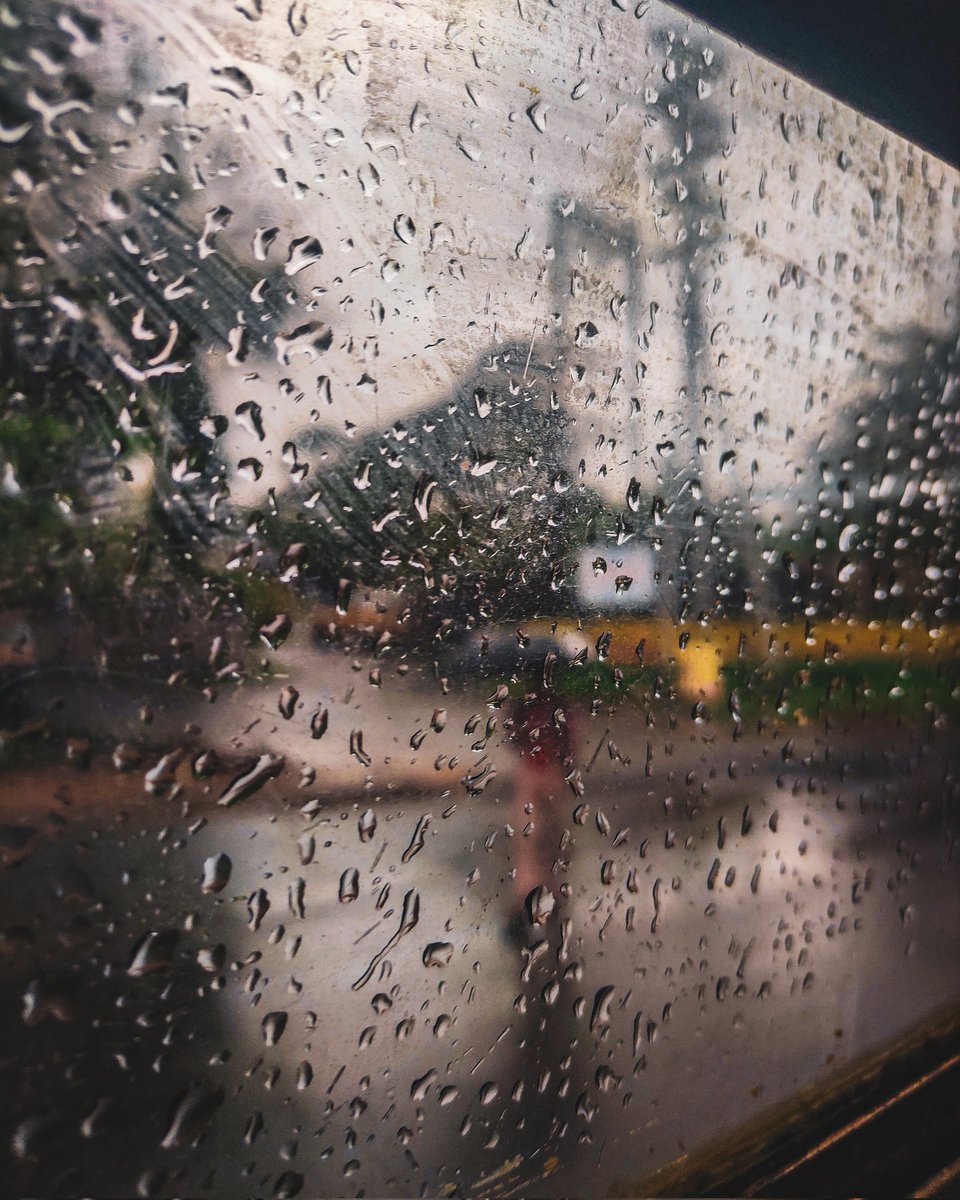 Window Seat
#raindrops #raindrop #raindrops💧 #raindroplets #raindropphotography #raindropsphotography #raindropdroptop #raindropphoto #rain #rainyday #raining #rainy #rainymood #rainvibes #photooftheday #photographers_of_india #photographersofindia #photogram #photography