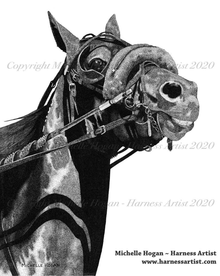 Michelle Hogan tweet media