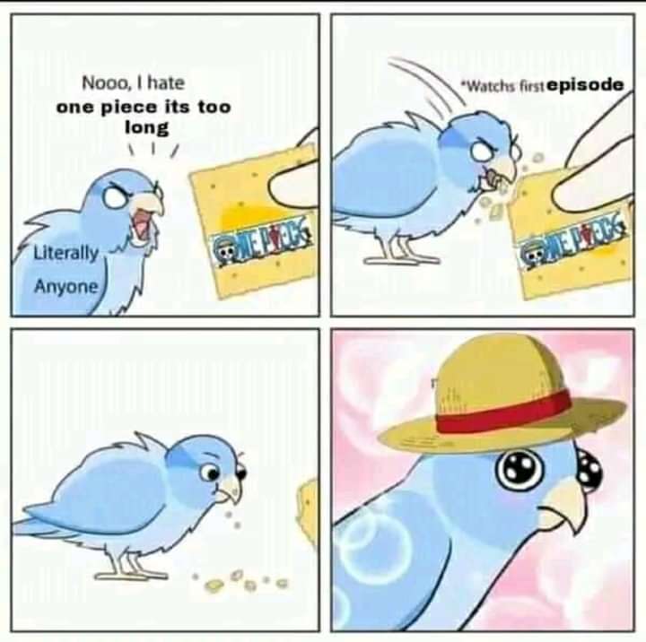 One Piece Memes tweet media