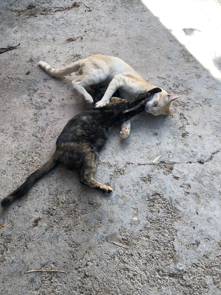 Embracing nature, after being away from it for a long time🌱

Also I miss this community a lot✨