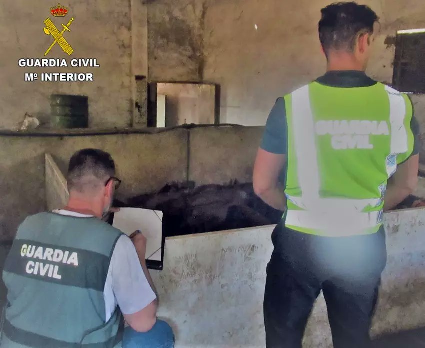 Un investigado por la sustracción de 47 cabezas de ganado de una explotación ganadera en Nogales nuestracomarca.com/sucesos/14732-…