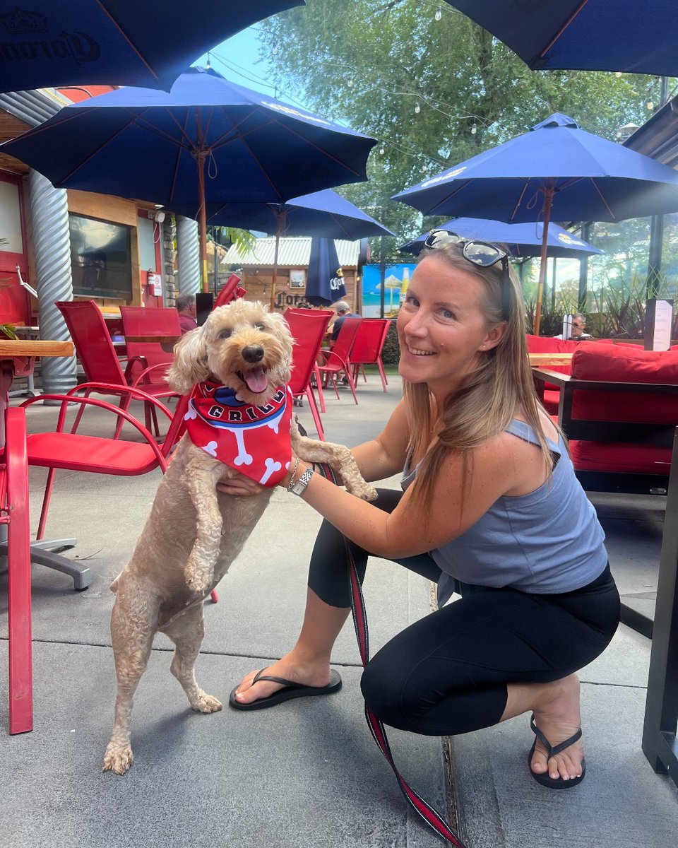 JoeDogsGasBar's tweet photo. βοΈ πΆ The Joe β¦β¦. Dog days of summer are back!!
Penny came by for her bandana!
Bring your four legged friends to Joe's PAWtio and get an official Joe Dogβs bandana.
Be sure to tag us #joedogs so we can share the pups!
** while supplies last. https://t.co/vqvfVw7POG