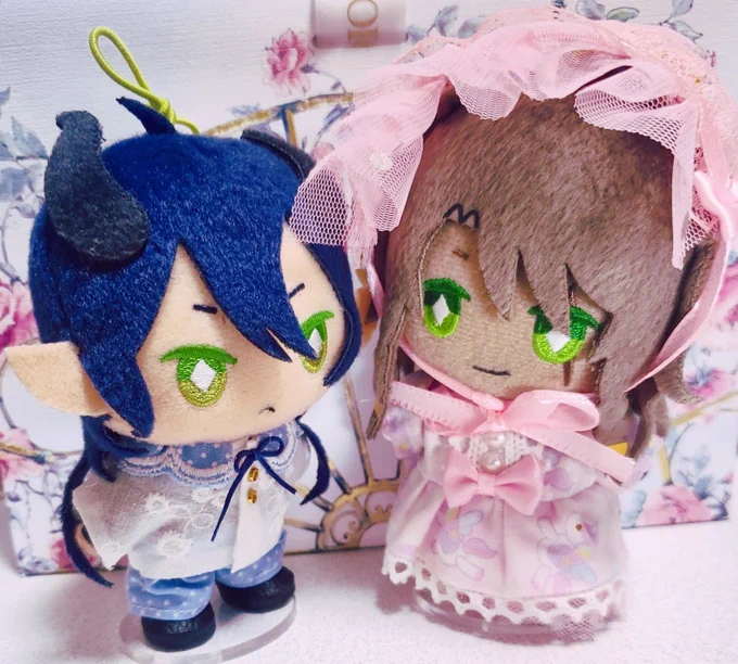 可愛いぬい服ゲットしたけど何処にも行く予定がないので記念撮影マレレオぬ