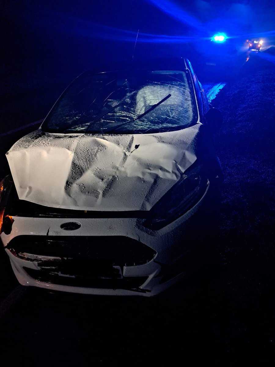 GowerAction's tweet photo. Inc no 30
10/08/23

Cow was hit on north Gower road Fairwood at approx 10.15pm.
The person followed the correct procedure.  Unfortunately the cow was pts at the scene.
If you are involved in a incident then pls contact South Wales police emergency 999 non emergency 101 https://t.co/A5idGSmUtd