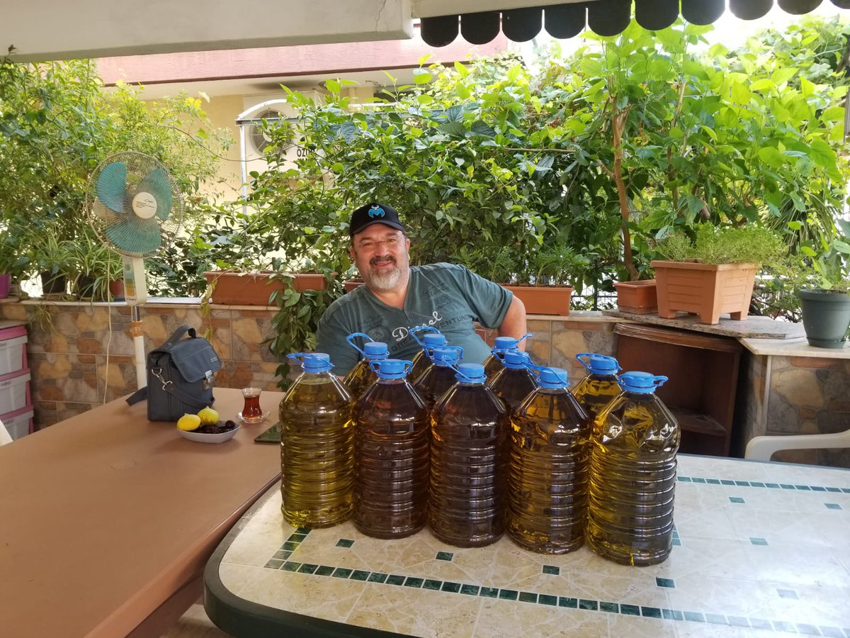 Mehmet Mescioğlu tweet media