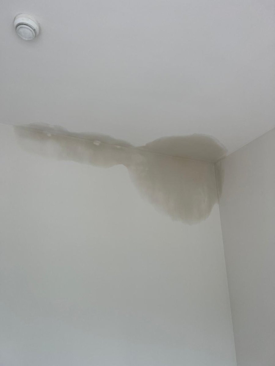 nishantsengar2's tweet photo. @GodrejProp @GodrejHillside @MahaGovtRERA i am really disappointed the quality which godrej has delivered. I fought to get my sepage issue repaired for kitchen and now i can see more sepage in other room recently. I am cheated by godrej of my hard earned money. #fraudgodrej https://t.co/iaRNH5anWJ
