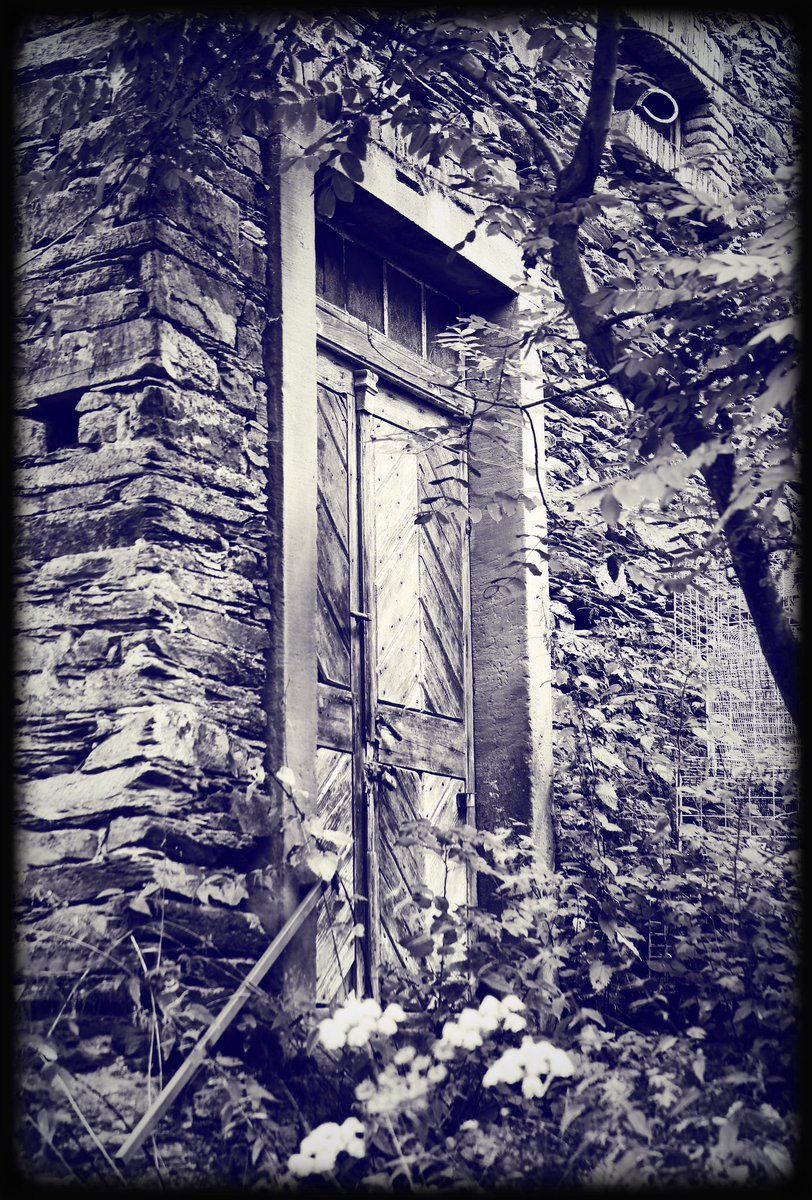 🤍🖤... gateway to another universe ...🖤🤍 #decay #lostplaces #countryside #architecture #oldbuildings #history #blackandwhite #monochrome #mood #atmosphere #dream #imagination #magic #spell #beauty #peace #silence #solitude