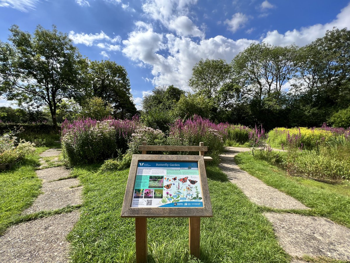 wass74's tweet photo. A good visit to @ForestryEngland #ChambersWood this week with the @BC_Lincolnshire @savebutterflies full of Butterflies including #SilverWashedFritillary which was a first for me. Plenty of #Brimstone as well @LincsWildlife https://t.co/fe50CeIX7L